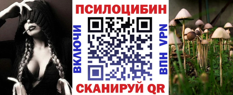 Галлюциногенные грибы Psilocybine cubensis Онега
